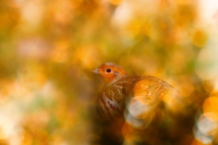 AdobeStock_661560704-scaled.jpeg