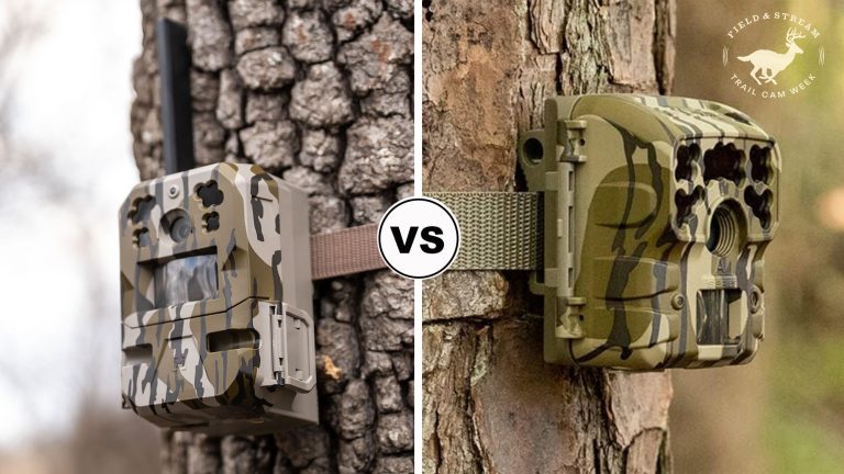Cellular Trail Cameras vs Conventional Trail Cameras