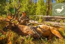 8 Western Trail Cam Tips for More Success