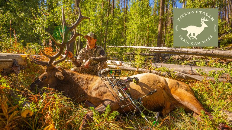 8 Western Trail Cam Tips for More Success