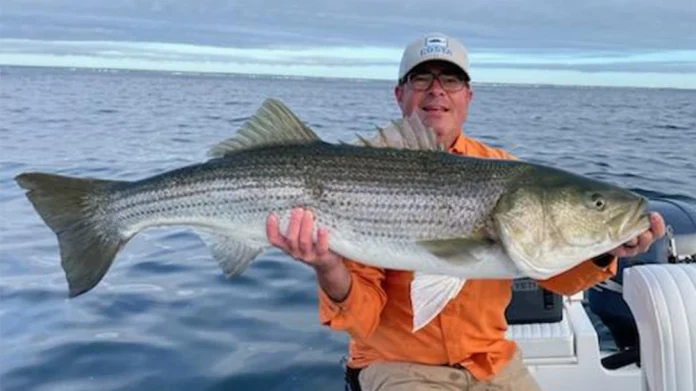 striper.webp.webp
