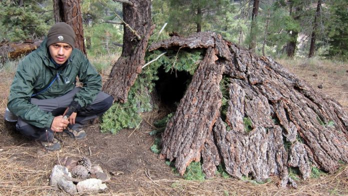 GAT_Constructing_Shelters-1.jpg