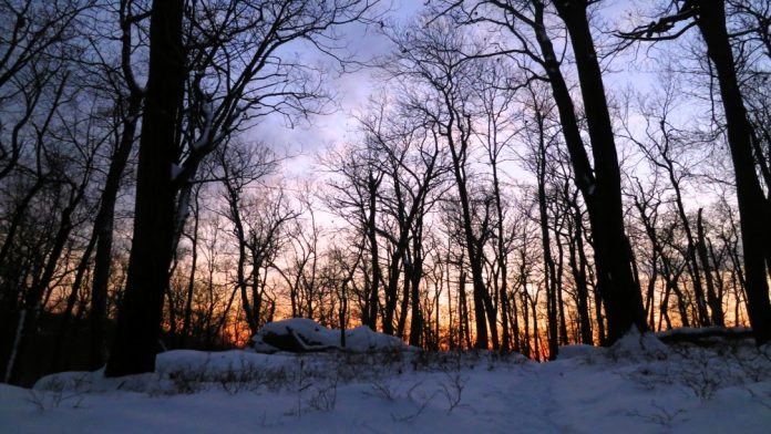 GAT_Winter_Success-1.jpg